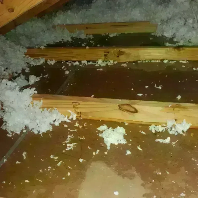 Attic Water Damage in Carlsbad, CA