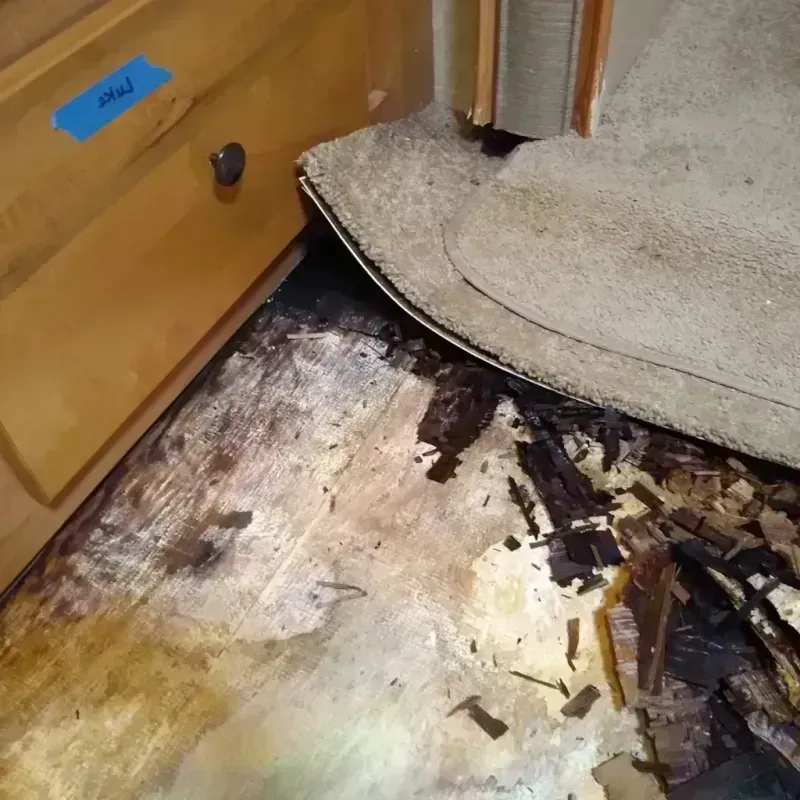 Best Wood Floor Water Damage Service in Carlsbad, CA